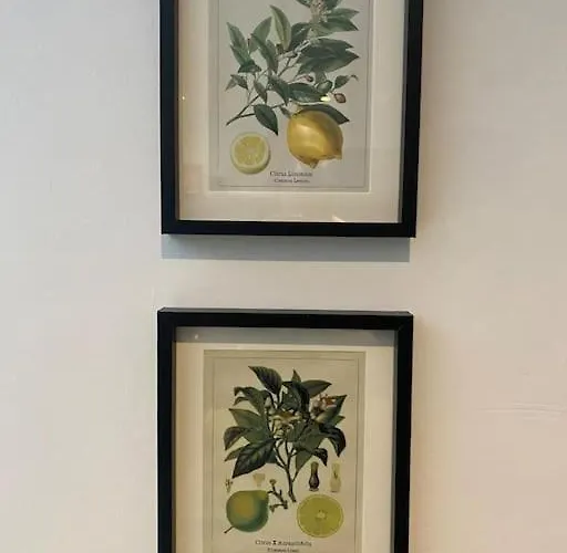 Clifton Georgian Townhouse, Downstairs Ensuite & Light Plant Based Breakfast * Bristol