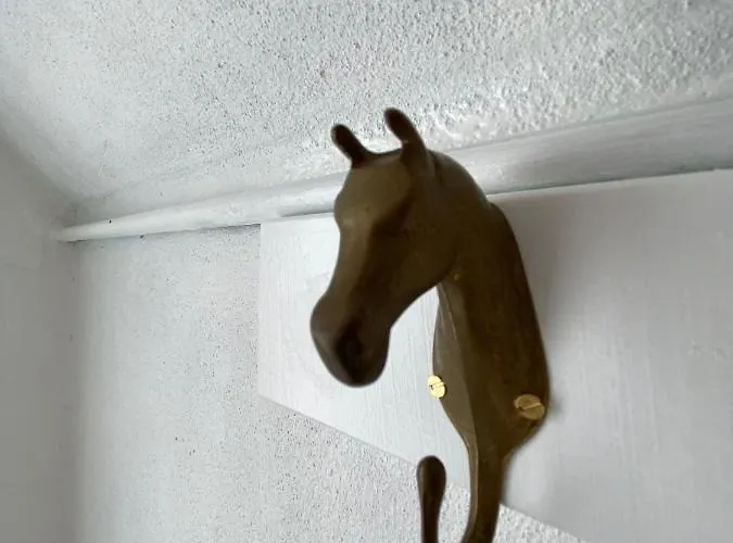 Clifton Georgian Townhouse, Downstairs Ensuite & Light Plant Based Breakfast