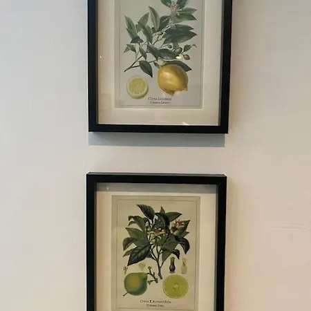 Clifton Georgian Townhouse, Downstairs Ensuite & Light Plant Based Breakfast * בריסטול