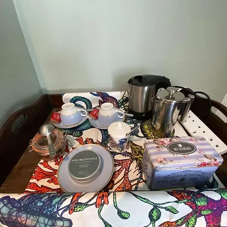 Clifton Georgian Townhouse, Downstairs Ensuite & Light Plant Based Breakfast Apartment Bristol